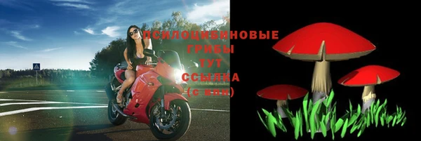 spice Алзамай