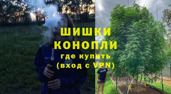 spice Алзамай