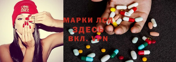 spice Алзамай