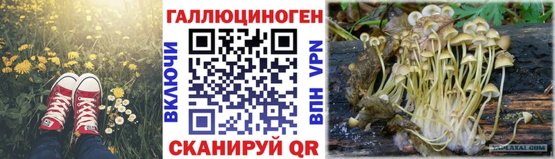продажа наркотиков  Ишим  Галлюциногенные грибы Cubensis 