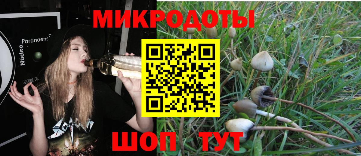 Ишим  даркнет сайт  Галлюциногенные грибы Psilocybine cubensis  Вход с VPN  Галлюциногенные грибы мухоморы 